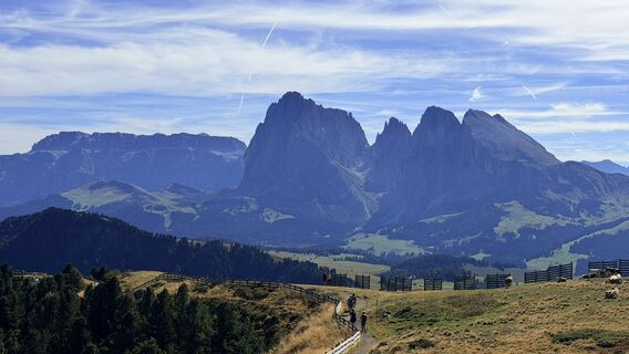Foto de Stefano Misuraca a lo largo del recorrido
