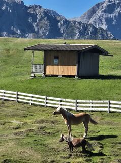 Photo de Coma le long du parcours