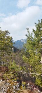 Fotografija s spletne strani veronika bozic na poti