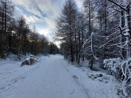 Zdjęcie z Jens Gebauer wzdłuż trasy