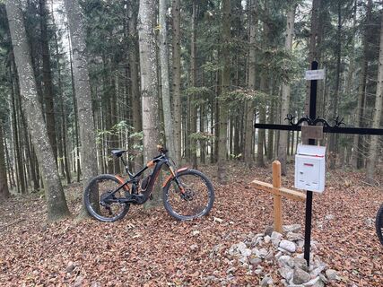 Foto von firebird 93 entlang der Tour