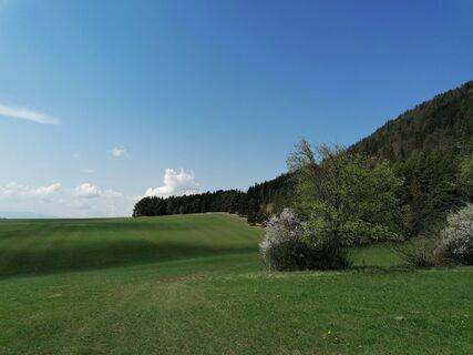 Foto de Žaneta Schelling a lo largo del recorrido