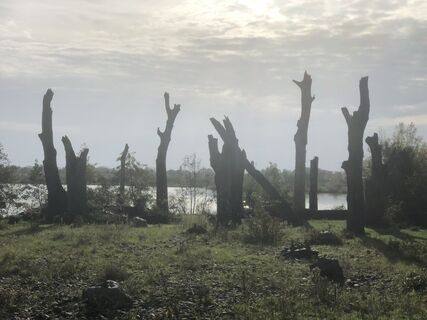 Foto von Enrico Schneider entlang der Tour