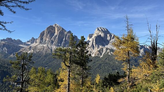 Fotografija s spletne strani ROBERTO BONIOTTI na poti