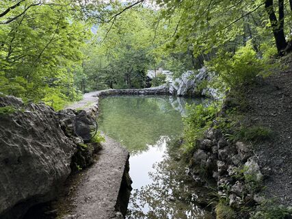 Fotografia z Dan Juvan na trase
