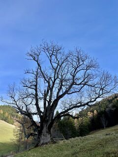 Foto von Sabine H entlang der Tour