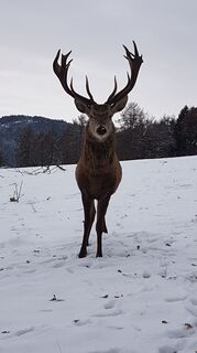 Foto von Prija34 entlang der Tour