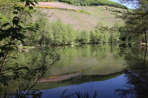 Zdjęcie z Günter Kleutsch wzdłuż trasy