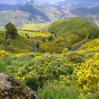 Landschaft und Panoramastraße - Gran Canaria