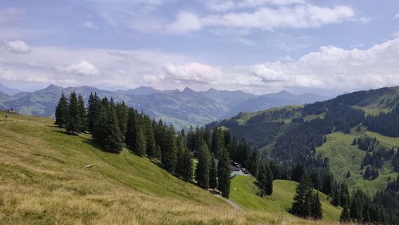 Photo de Željko Golić le long du parcours