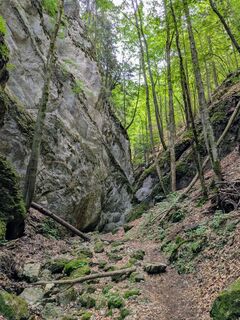 Zdjęcie z Martina Braunstein-Lamatsch wzdłuż trasy