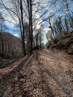 Foto von Roberto Parmeggiani entlang der Tour