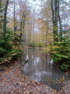 Foto von Daniel Kremiec entlang der Tour
