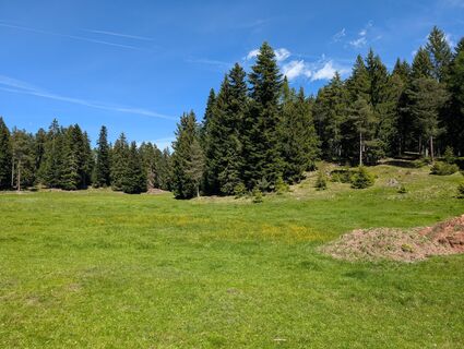 Zdjęcie z Marcel Zielinski wzdłuż trasy