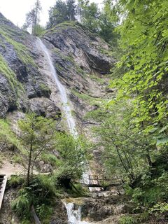 Photo de frigur le long du parcours