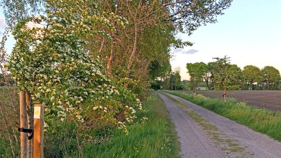 Markierungszeichen am ORTSWEG Rund um Rhadereistedt