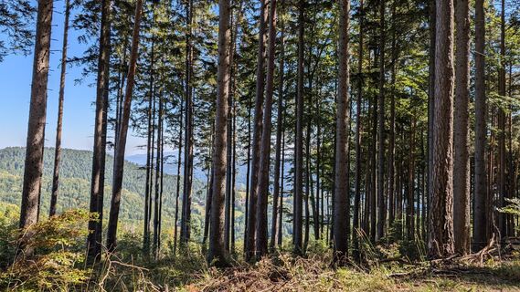 Foto von Martin Temm entlang der Tour
