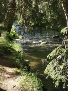 Foto de Waldläufer a lo largo del recorrido