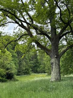 Foto von Denise Miller entlang der Tour