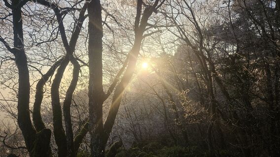 Foto von Mateja Rečnik entlang der Tour