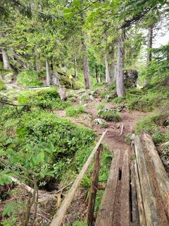 Photo de ReginaSt le long du parcours