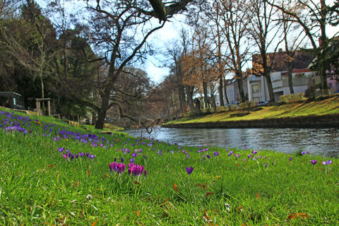 Hönne in der Innenstadt