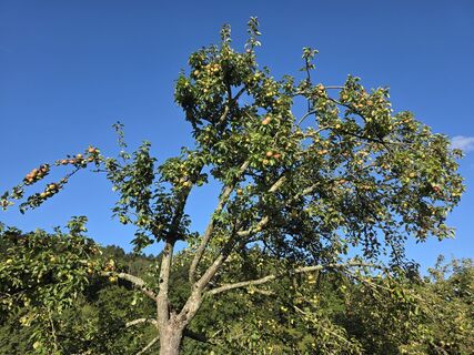 Foto von ? entlang der Tour