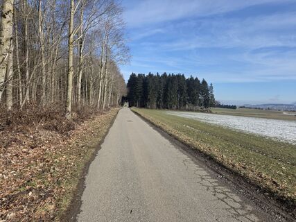 Photo de Massimo Romano 2 le long du parcours