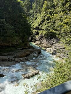 Kuva osoitteesta Willy 11 matkan varrella