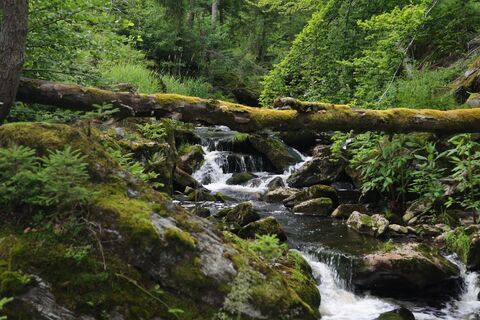 Foto de Anja_wandert a lo largo del recorrido