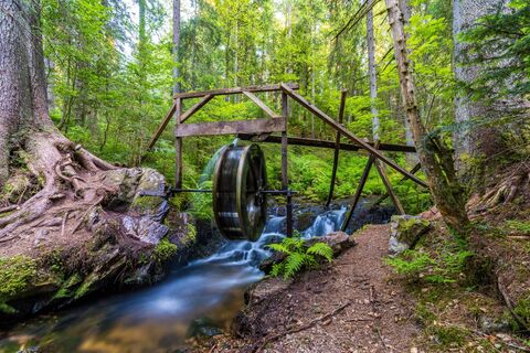 Wasserad im Zauberwald