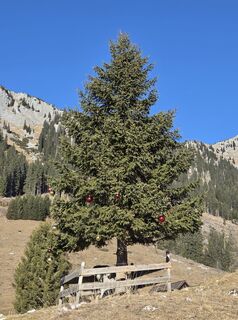 Fotografija s spletne strani Karin Lattacher na poti