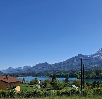 Foto von Mangolein entlang der Tour