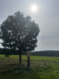Fotografie z lotharkoerner na trase