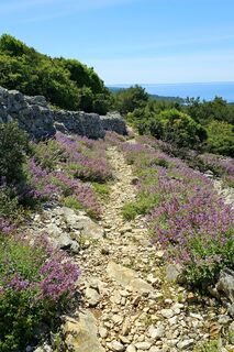 Fotografija s spletne strani Grieshofer Gerlinde na poti