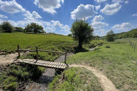 Foto von Gloop entlang der Tour