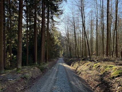 Foto von Norbert Herbig entlang der Tour