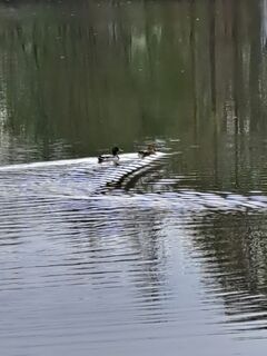 Foto von Georgiamartin0815 entlang der Tour