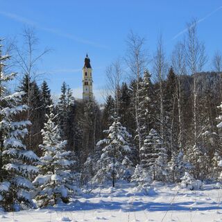Blick vom Berger Moos auf die Pfarrkirche St. Nikolaus