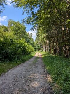 Foto von Sabrina Hackel entlang der Tour