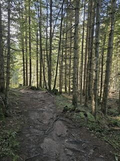 Foto von Grieshofer Gerlinde entlang der Tour