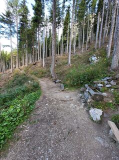 Photo de Matthias Bacik le long du parcours