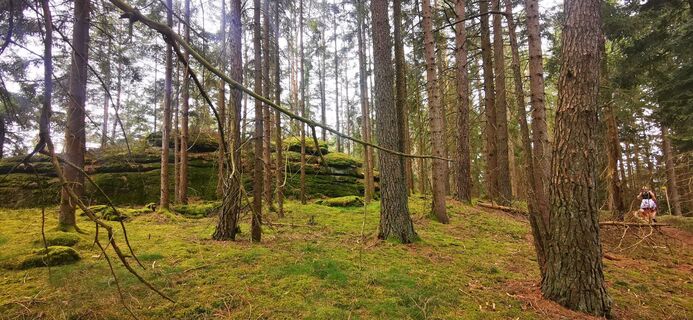 Fotografia z Klaus Lehner na trase