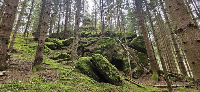 Foto de Berni_S a lo largo del recorrido