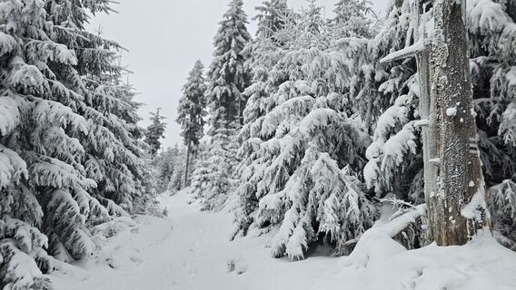 Foto von Katja Senkel entlang der Tour