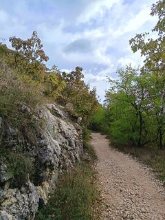 Photo de Julika Jármer le long du parcours