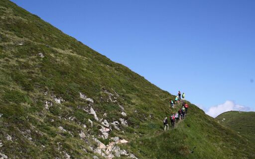IMG_9693.jpg