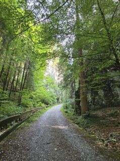 Foto von Transfer entlang der Tour