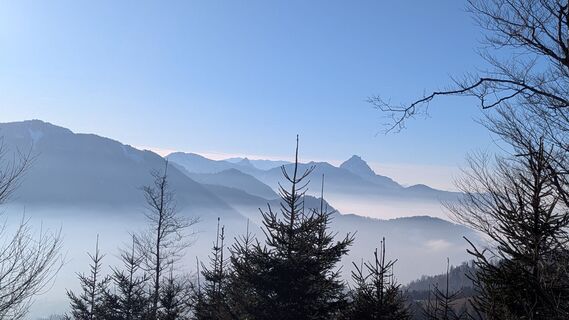 Foto von Ziegler Em1304 entlang der Tour