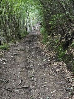 Fotografia z Mario Nöckl na trase